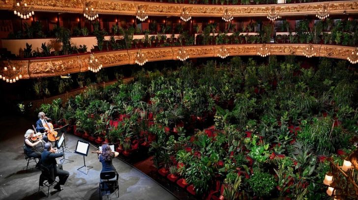 Regresaron los conciertos en Barcelona... con plantas como público