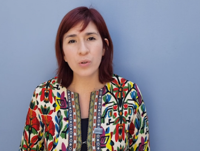 Diputada Pérez responde a Blumel por desmanes: “Que uno condene la violencia no quiere decir que no la entienda”