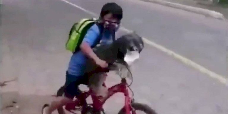 Niño le puso mascarilla a su perro y desató un tsunami de ternura en las redes sociales