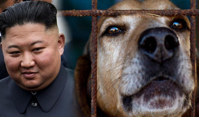 Kim Jong Un prohibió la tenencia de perros en Corea del Norte y ordenó entregarlos o sacrificarlos