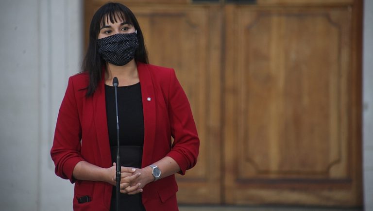 Izkia Siches llama a votar tranquilos con medidas sanitarias y recomienda “celebraciones en familias desde nuestros hogares”