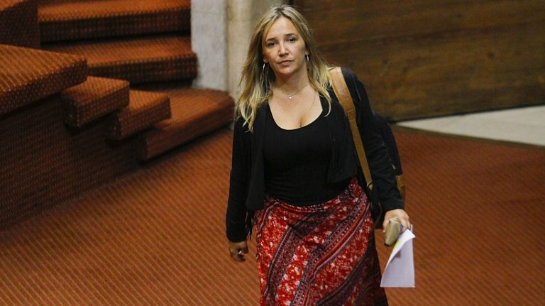 Diputada Hoffmann por Sebastián Sichel: “no es un hombre de derecha”