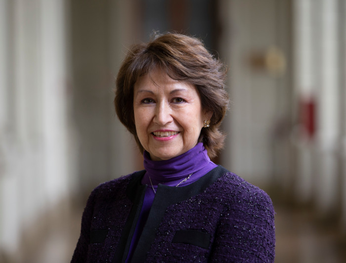 Peña por demanda de Vocería de los Pueblos: “Se ha instalado una falacia”, las reglas dejaron de ser políticas con la reforma constitucional