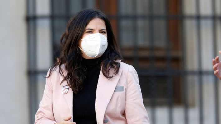 Ministra de la Mujer Antonia Orellana ante rol informativo en plebiscito: 