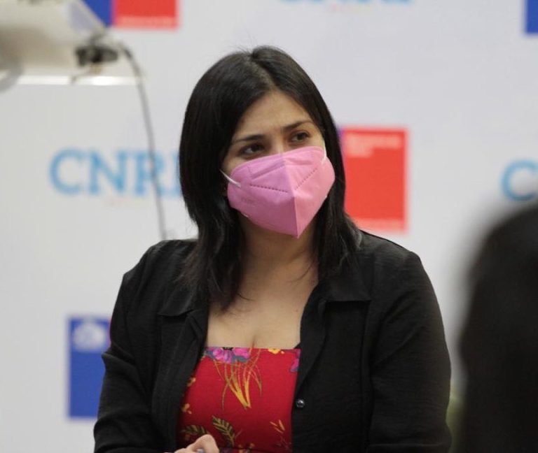 Diputada Karol Cariola (PC): 