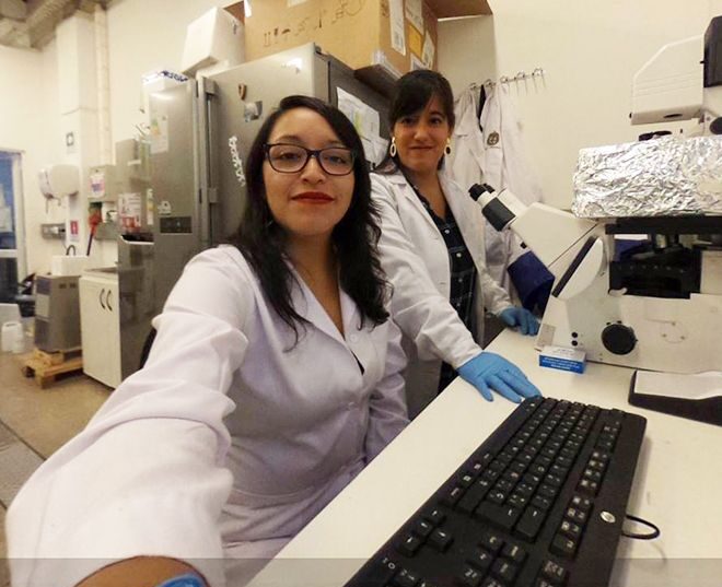 Yaku: Un innovador biofiltro de microorganismos para purificar aguas grises proveniente de duchas y lavamanos