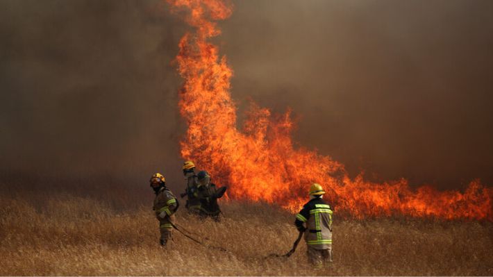 Pablo Lobos, Gerente de Prevención de Incendios de CONAF: 