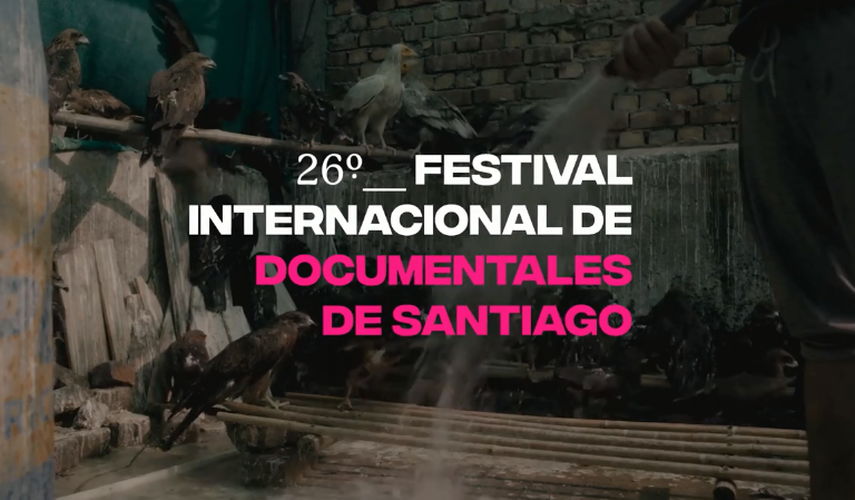 Hoy comienza FIDOCS y conocimos todos los detalles del Festival junto a su directora Antonia Girardi