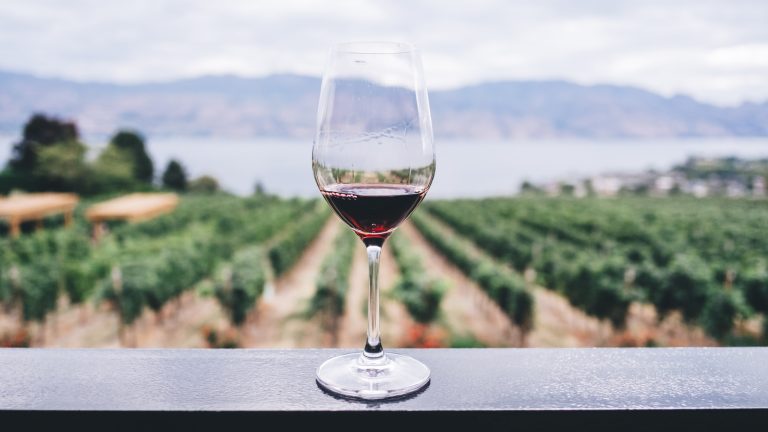 Vinos buenos, bonitos y baratos: El enólogo Sergio Avendaño recomendó los mejores para este fin de año