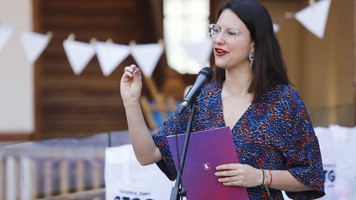 Hassler acusa falta de urgencia en el trabajo municipal de Desbordes: 