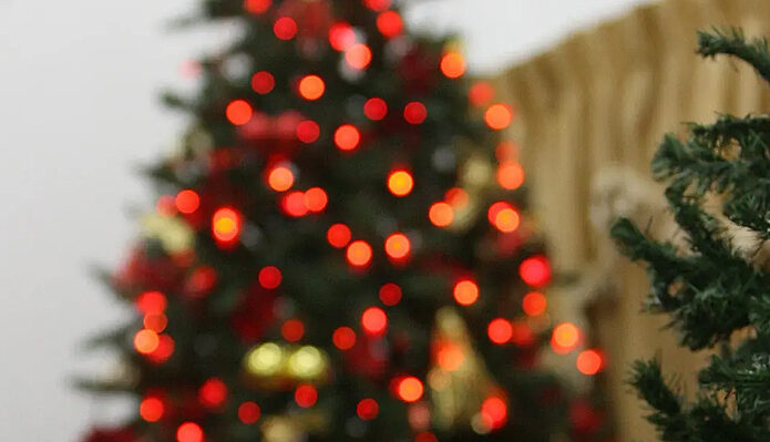 Rodolfo Poblete, CEO de TriCiclos entregó los principales consejos para vivir una navidad más sustentable