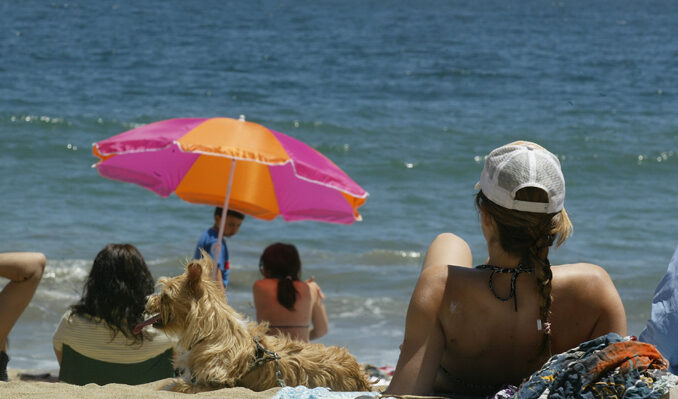 Dermatóloga Carla Muñoz advierte que el humo tiene un “efecto menor en disminuir la radiación y puede generar irritación”