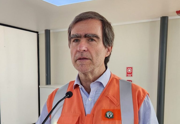 Presidente de la Corma dijo que la cifra de Tohá sobre 25% de intencionalidad “induce a error”, y que “en las regiones de estado de catástrofe es 41%”