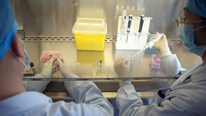 Doctora Carolina Herrera hace un llamado a restringir acceso a lugares eventualmente infectados con gripe aviar