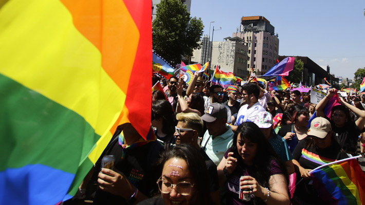 Ramón Gómez, investigador del Movilh: 