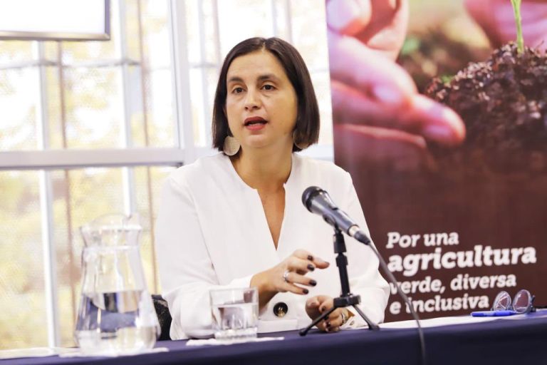 Ministra (s) de Agricultura Ignacia Fernández: 