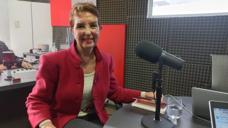 Candidata al Consejo Constituyente Gloria Hutt: 