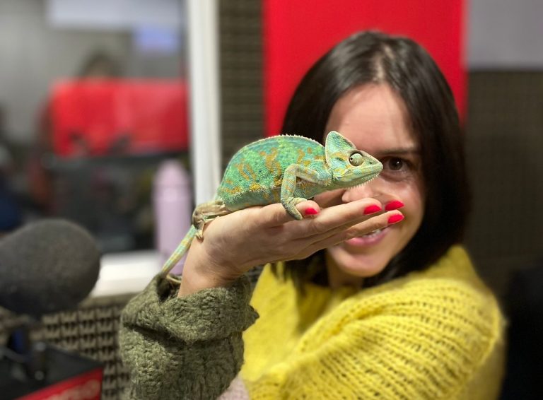 Este fin de semana: Comienza la Expo Mascotas & Animales 2023