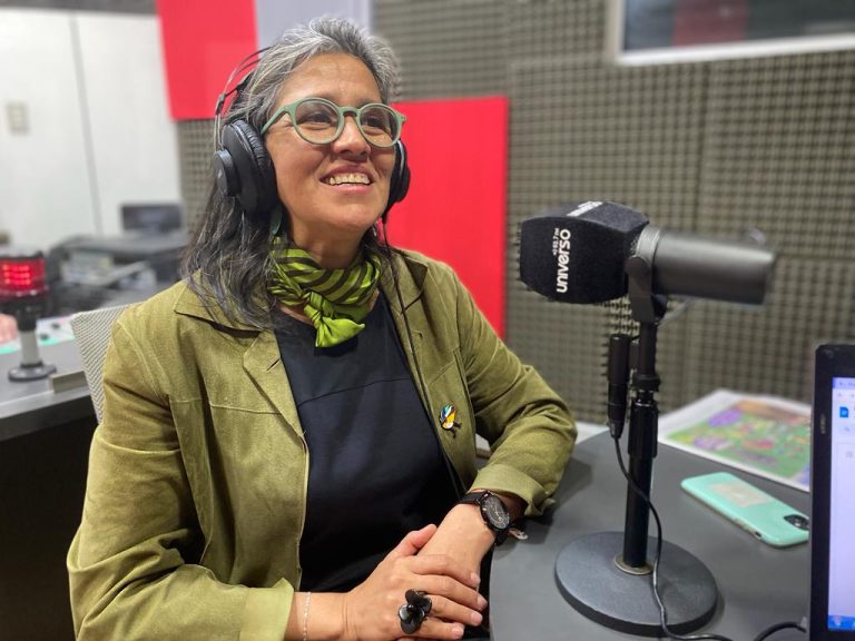 Verónica Pardo, Subsecretaria de Turismo por imagen país: 