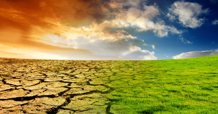 UNIVERSO RENOVABLE: ¿Las altas temperaturas que hemos tenido este invierno son un indicador de cómo se viene la temporada estival?