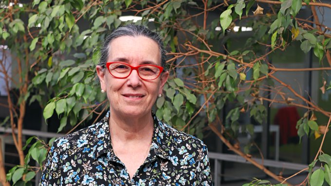 Subsecretaria de la Niñez Verónica Silva destaca la instalación de oficinas locales: 