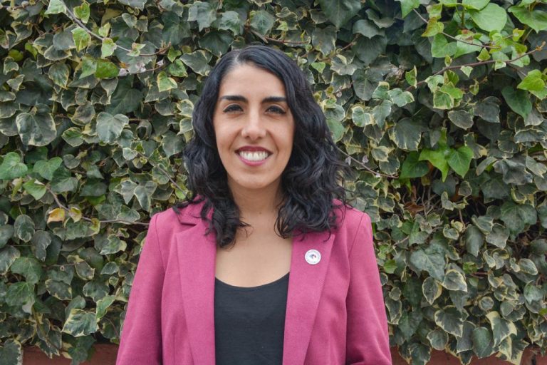 Consejera María Pardo (CS) y comparación de la Constitución del 80 con la que trabajada en el Consejo: 