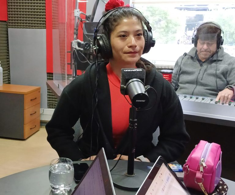 Diputada Ñanco (RD) adelanta voto a favor del veto a Usurpaciones: 