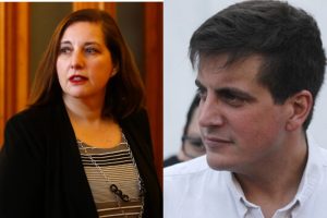 Vodanovic y Schalper abogan por frenar la 