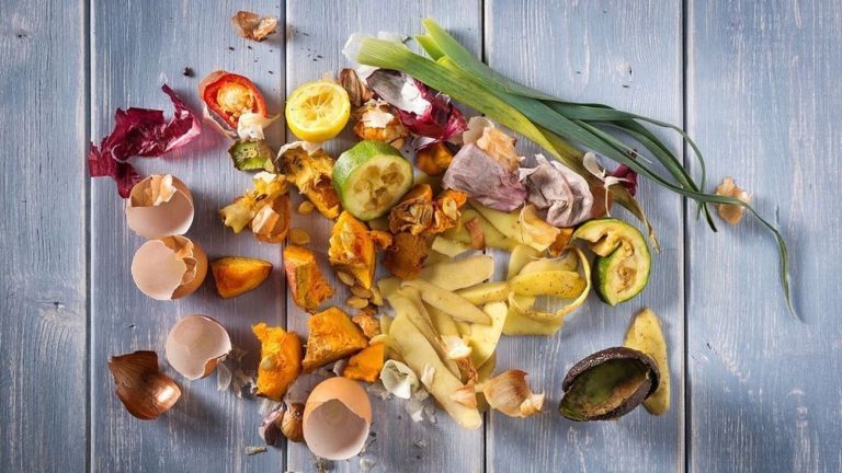 Aprovechar los residuos orgánicos, una pieza clave de la economía circular