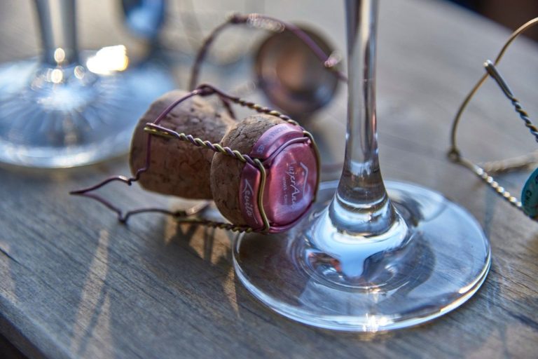 A 30 años del redescubrimiento del Carménère en Chile: la importancia de esta cepa en la industria del vino chileno