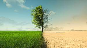 Greenpeace alerta sobre graves impactos del cambio climático en Chile y critica medidas del gobierno