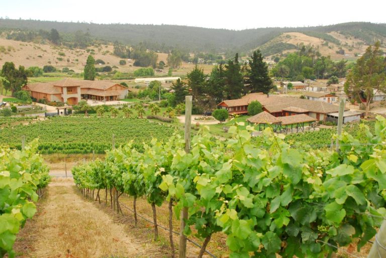 After Office con Nicolás Cañas: Los imperdibles eventos que trae este fin de semana en torno al vino y la gastronomía