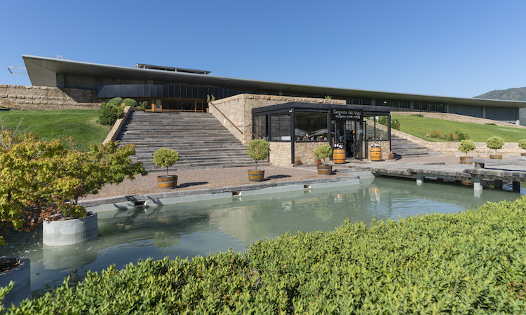 Viña Montes se certifica como empresa B, liderando en Latinoamérica con su compromiso social y ambiental