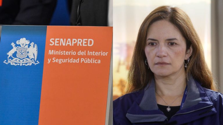Directora de Senapred alerta sobre aumento de incendios forestales y llama a la prevención