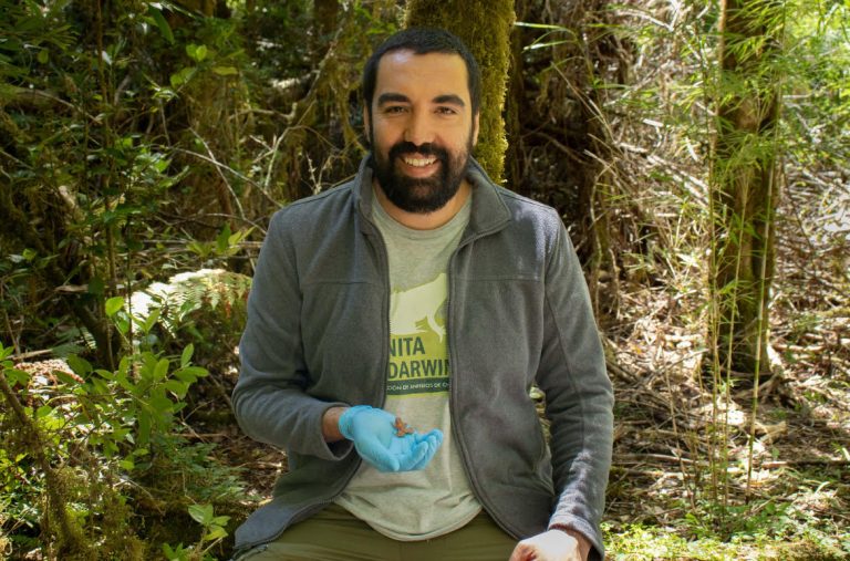 “Un salto de esperanza”: Cómo la ranita de Darwin sobrevivió al borde de la extinción