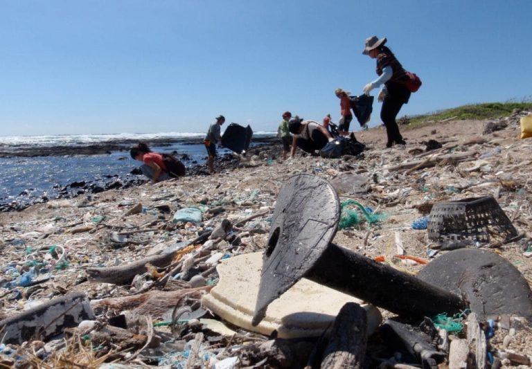 Rapa Nui en alerta por basura plástica y cómo integrar la sostenibilidad en las empresas