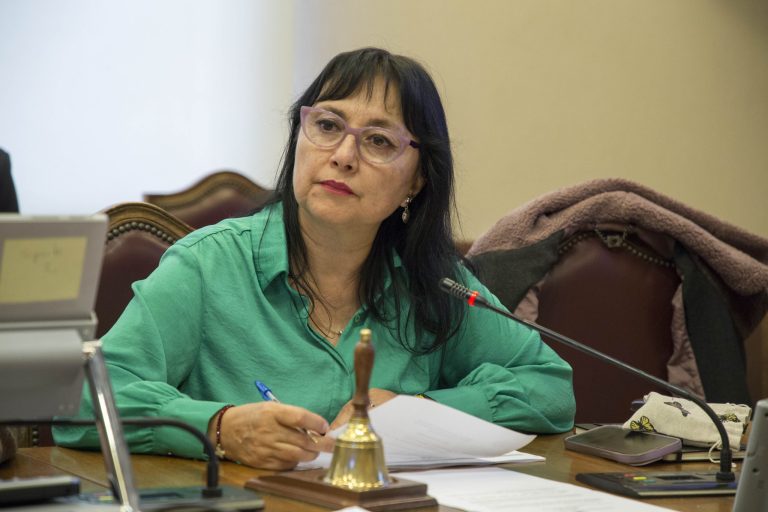 Diputada Marzán denuncia grave inseguridad alimentaria y pide políticas públicas urgentes