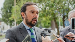 Gobernador del Ñuble afirma que la mayoría de los incendios en la región se originaron por negligencia