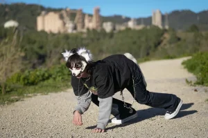 Experto descarta que fenómeno “therians” sea masivo y advierte amplificación por redes sociales