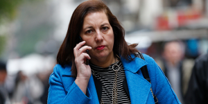 Senadora Paulina Vodanovic arremete contra la estrategia del Ejecutivo: 