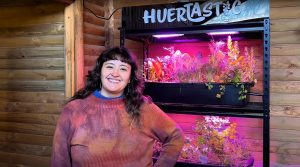 Huertastic: tecnología y agricultura vertical para acercar los huertos a las personas